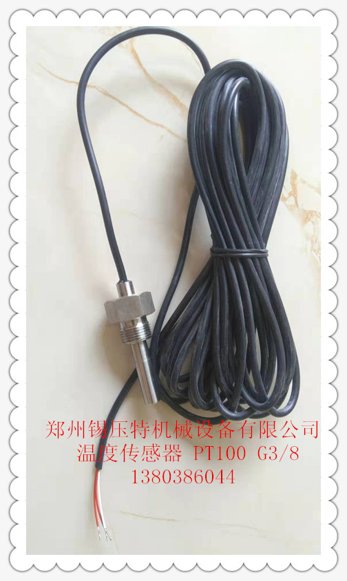 ¶ȴPT100  G3/8
