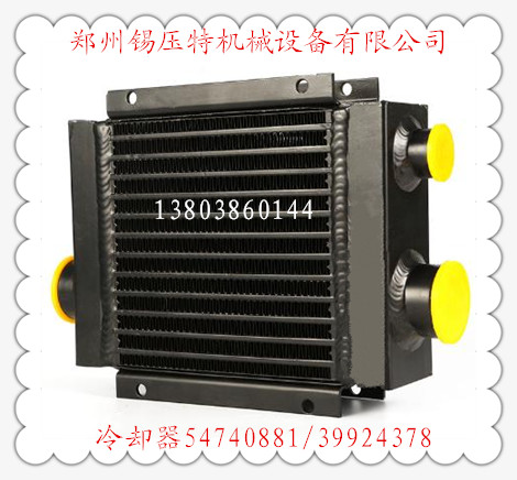 Ӣѹȴ54740881/39924378